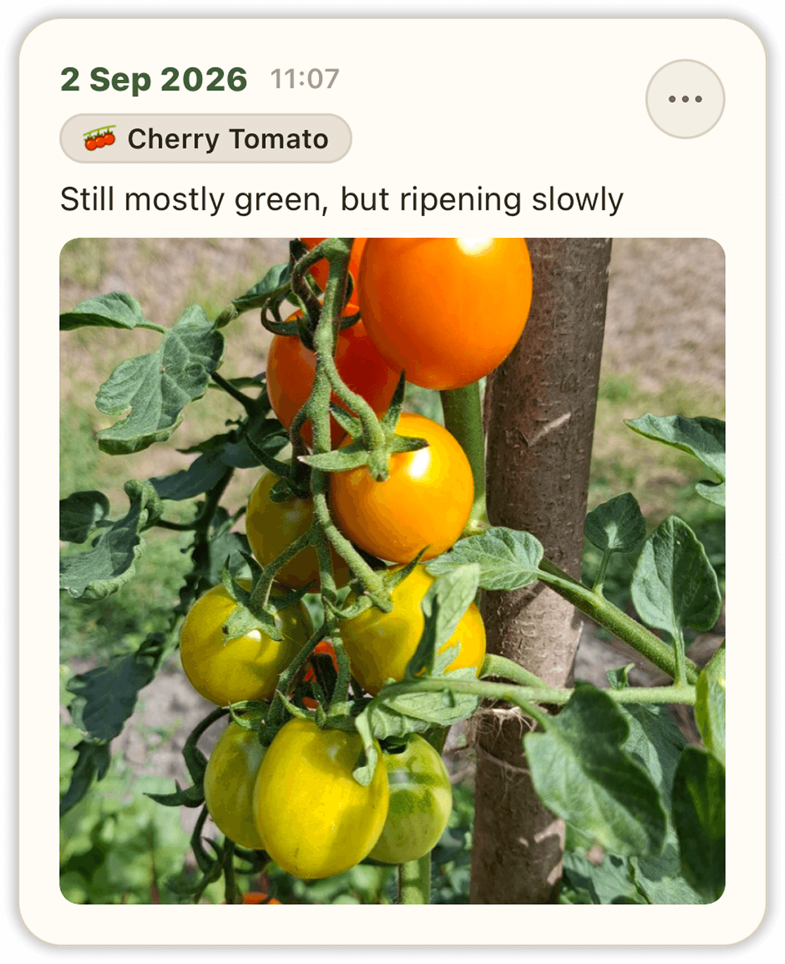 Journal entry — garden note with photo