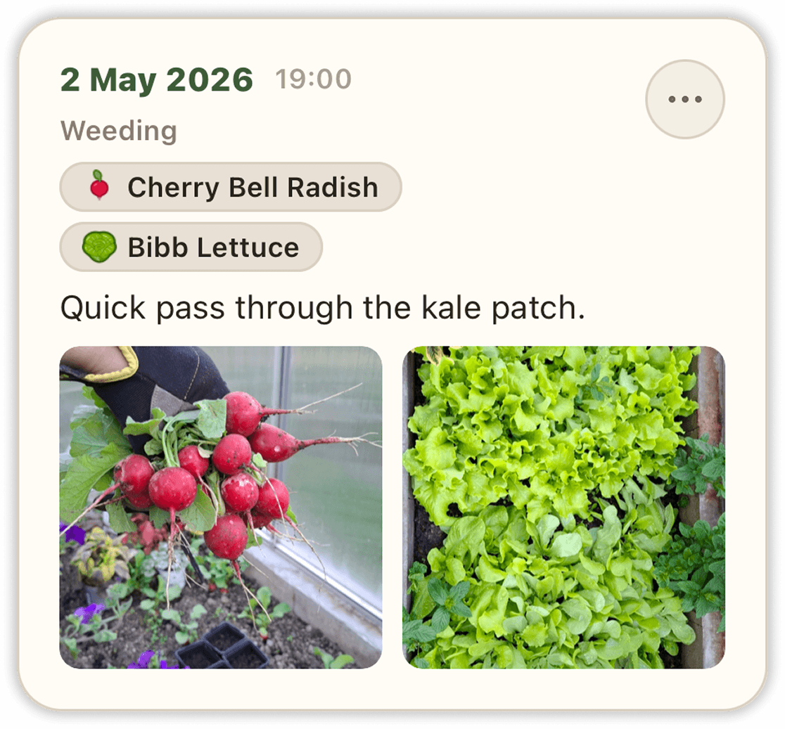 Journal entry — weeding note
