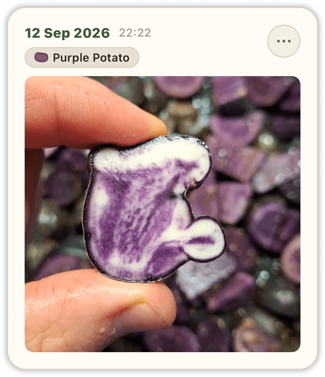 Journal entry — harvest note